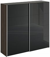 шкаф-купе slide 1700 черный в Хабаровске