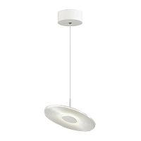 подвесной светодиодный светильник odeon light ellen 4107/12l в Хабаровске