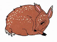 ковер шерстяной олененок the deer в Хабаровске