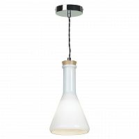 подвесной светильник lussole loft 5 lsp-9635 в Хабаровске