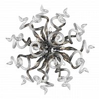 бра lightstar medusa 890659 в Хабаровске